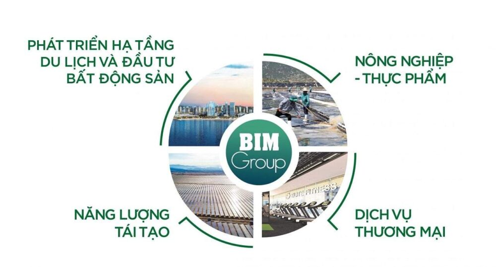 linh-vuc-hoat-dong-bim-group